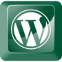 Website Development